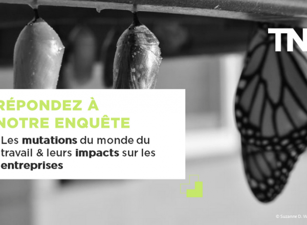 Enquête | Les mutations du monde du travail & leurs impacts sur les entreprises